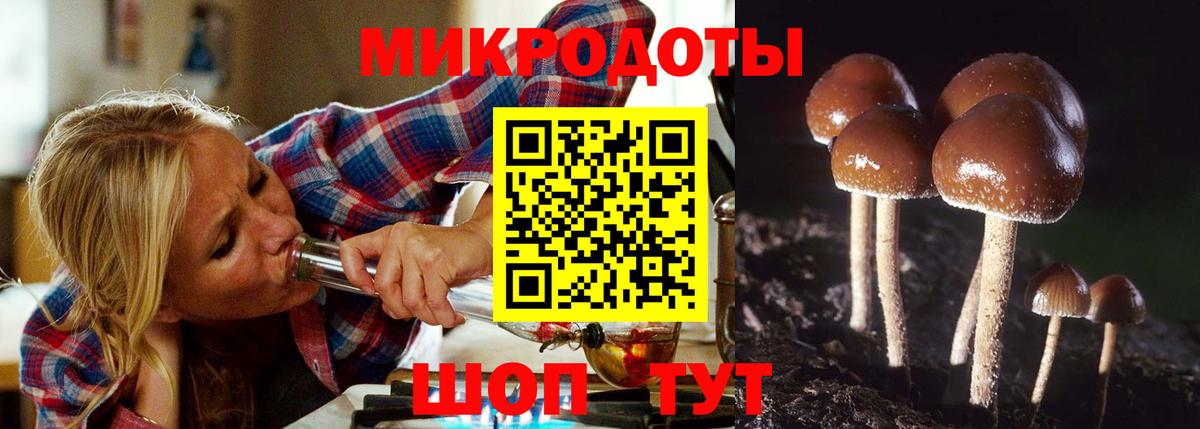 Псилоцибиновые грибы прущие грибы Югорск